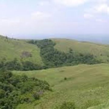 Brahmagiri hills coorg (1)