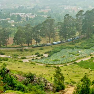 ketti-valley-coonoor (1)